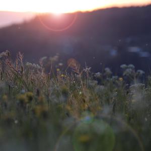 裸睡玩奶头(高H)文双性
